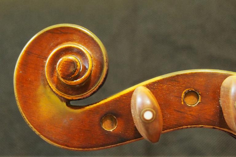 The head of a violin