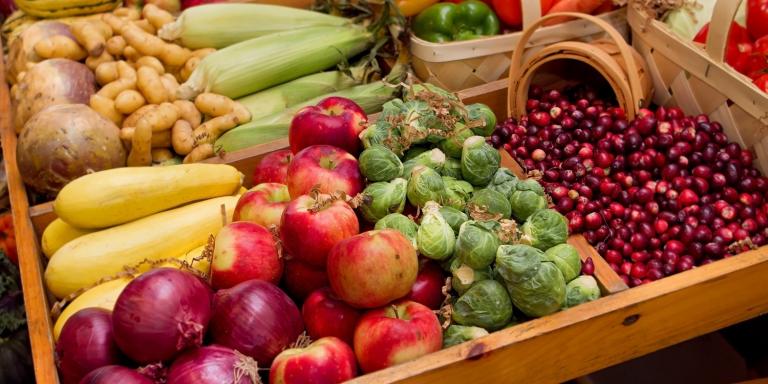 Fall harvest vegetables